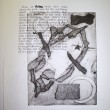 Untitled 2008