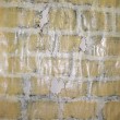 The Wall 2008