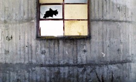 Untitled 2010