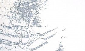 Untitled 2011