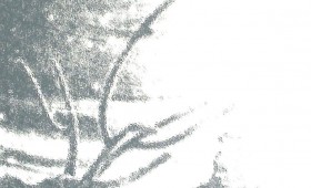 Untitled 2011