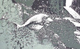 Untitled 2011