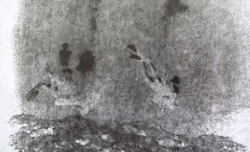 Dive 2011