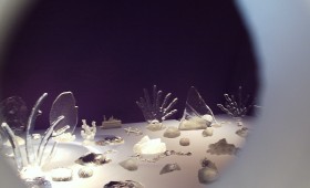 No Man’s Land 2011