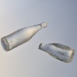 Bottles 2011