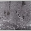 No Man’s Land 2011