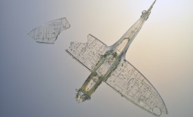 Spitfire 2011