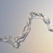Seaweed 2011