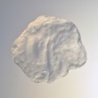 Seashell II 2011