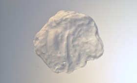 Seashell II 2011