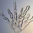 Coral Plant 2011